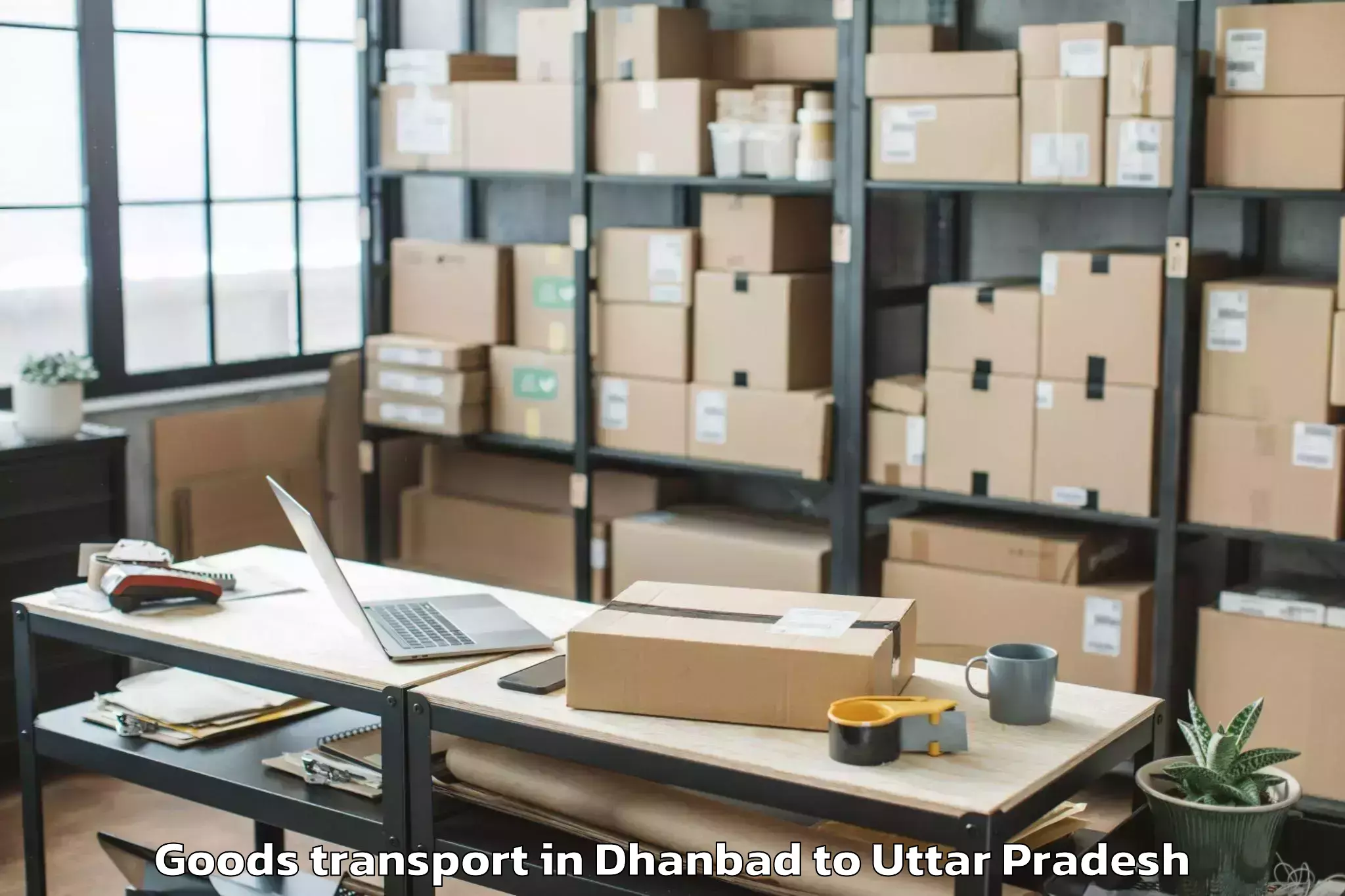 Book Dhanbad to Galgotias University Noida Goods Transport Online